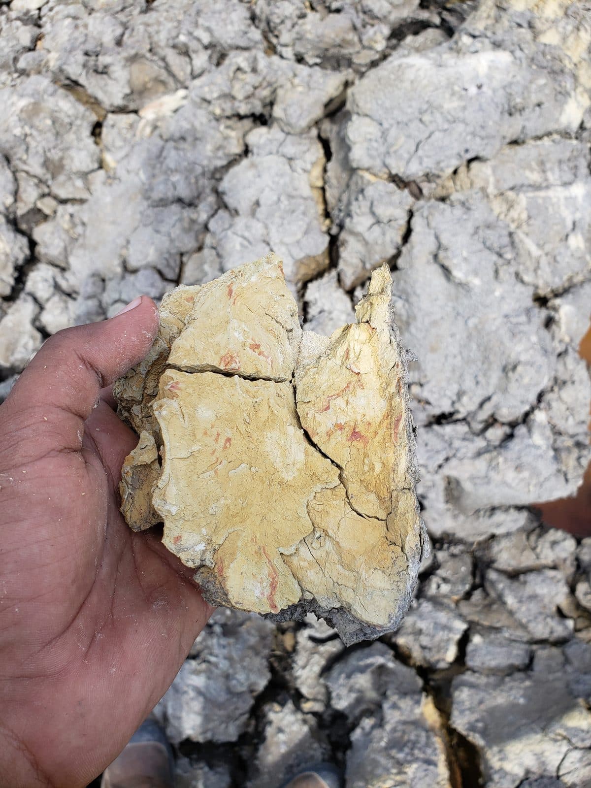 Weathered yellow-grey material sample held in hand over cracked clay ground